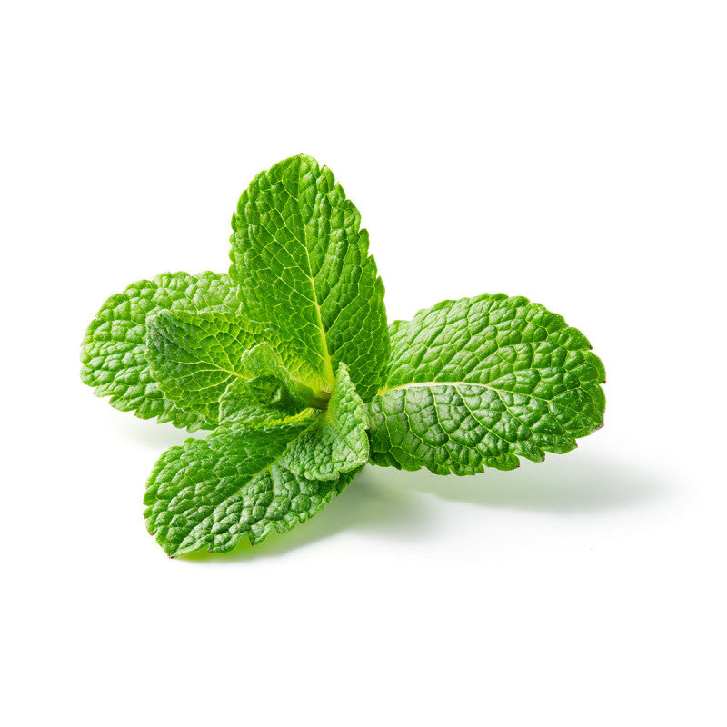 Collutorio alla menta piperita 473 ml, Essential Oxygen BR