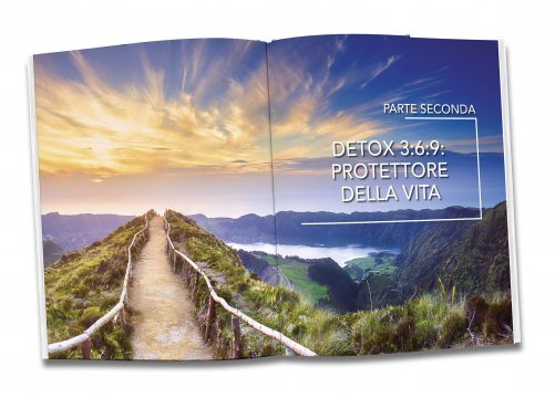 Detox per Guarire (solo in italiano e spagnolo)