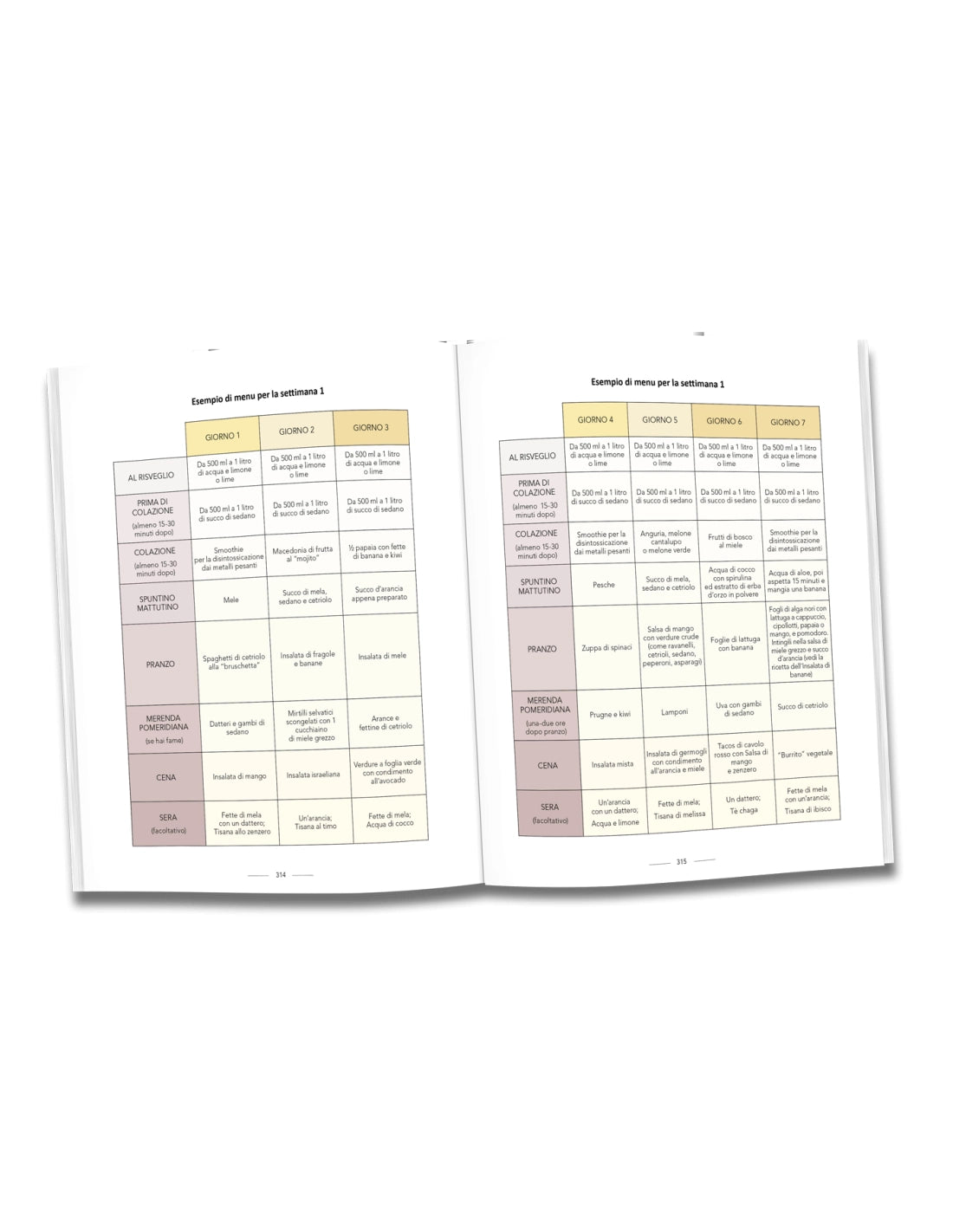 Médico Médium - Nueva Edición actualizada (solo en italiano y español)