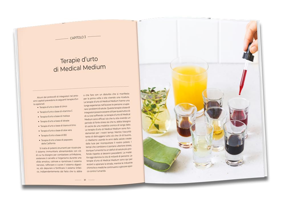 Protocolos y recetas de desintoxicación para la salud cerebral (italian version)