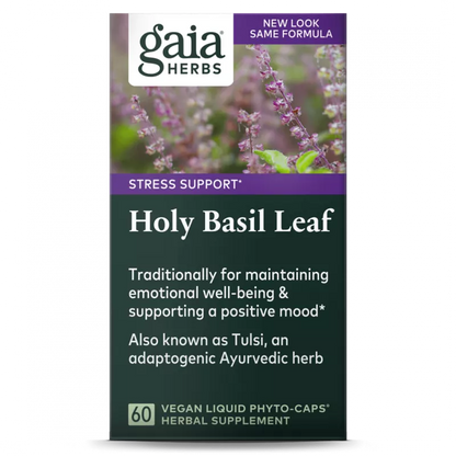Hoja de albahaca sagrada (Tulsi)